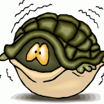 Shy turtle practical spirituality blog