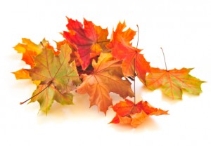 A Walk in Autumn: a poem